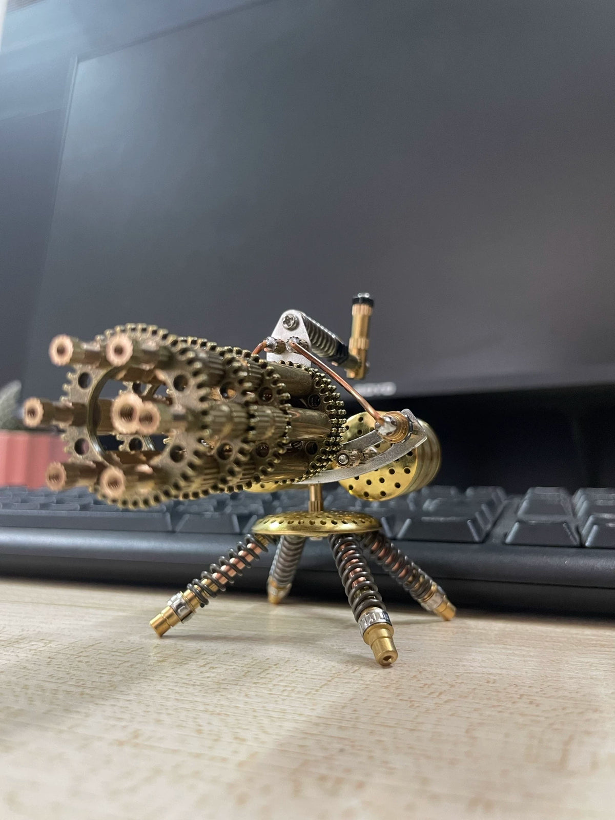 674800895296 - Image 6
