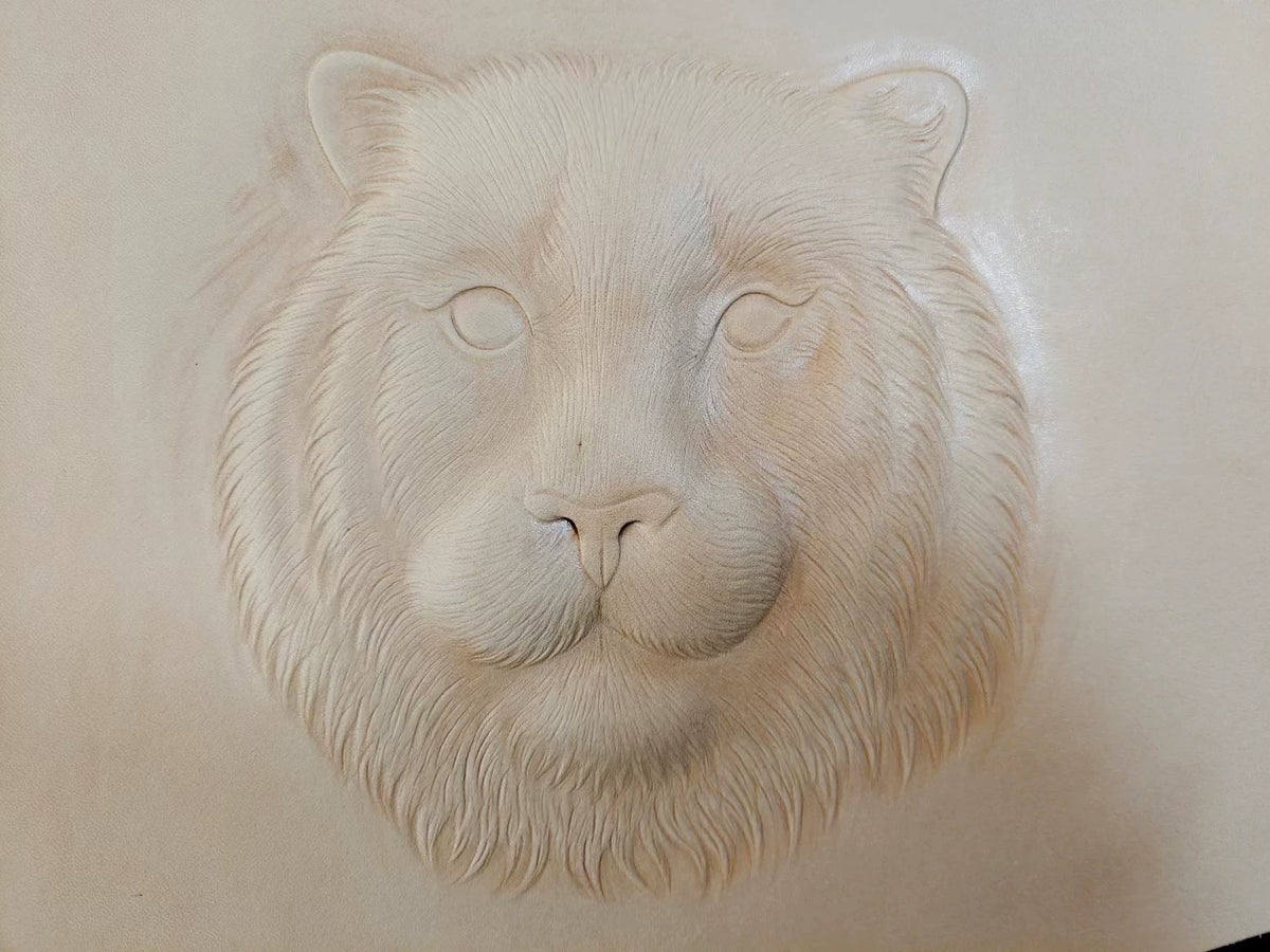 644656958064 - Image 2