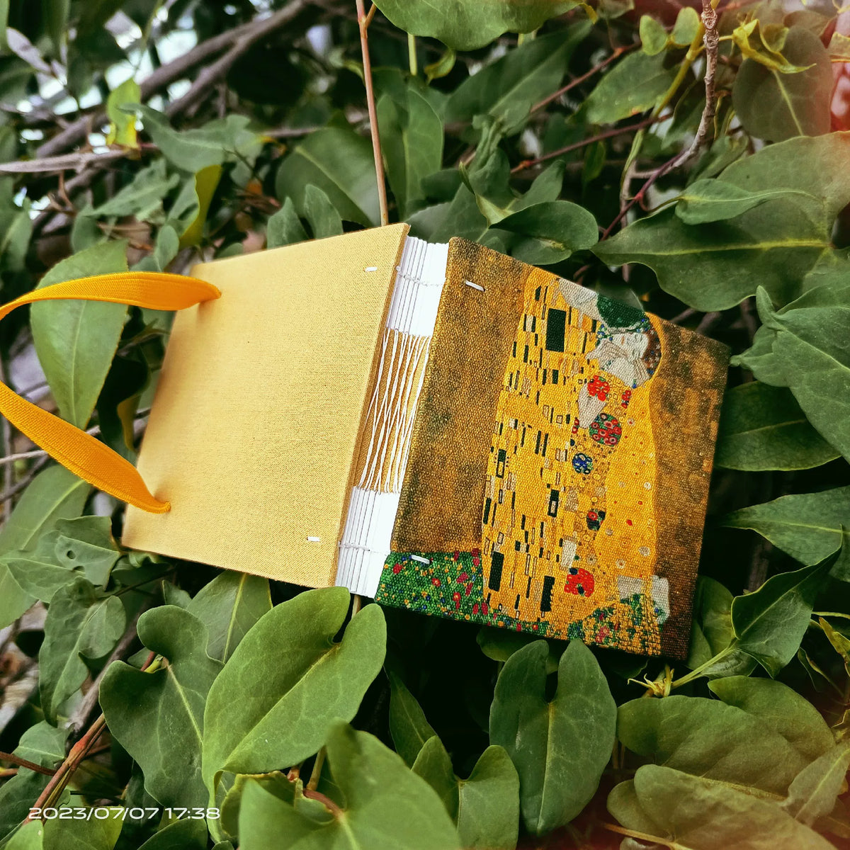 727010717835 - Image 6