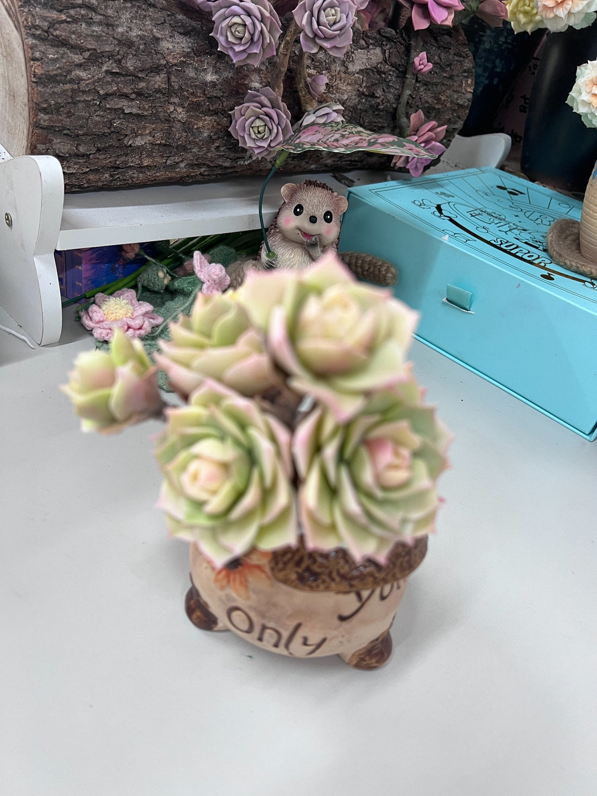 Composition de succulente en argile de résine à cinq rosettes