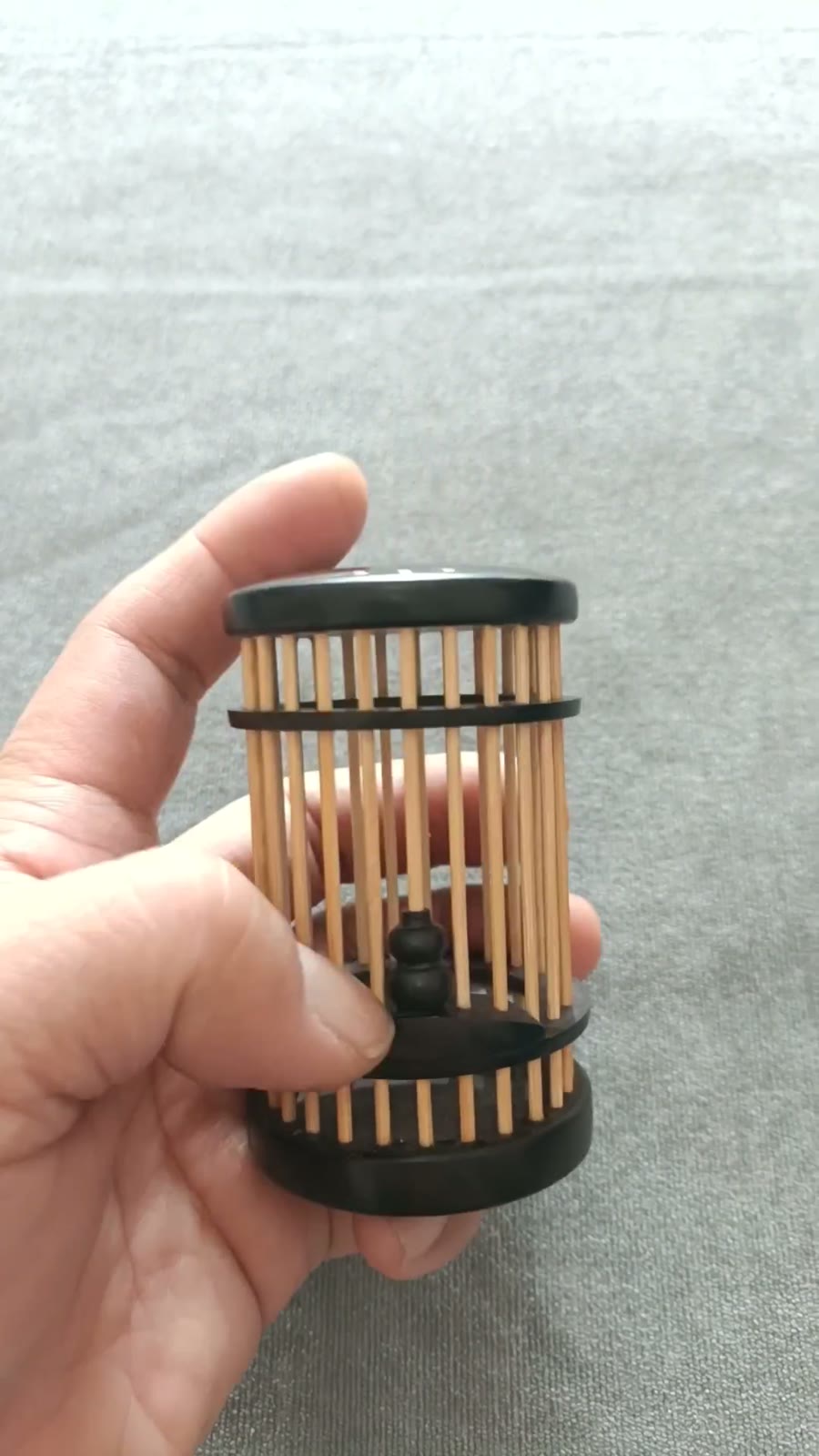 African Blackwood Katydid Cage Handheld
