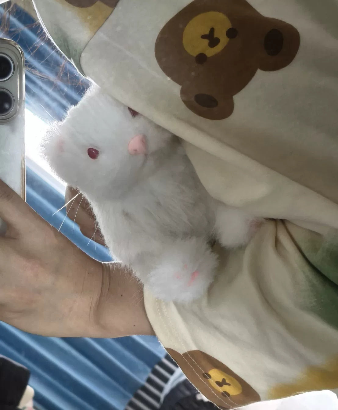 Handgemaakte replica van een langharige witte ferret