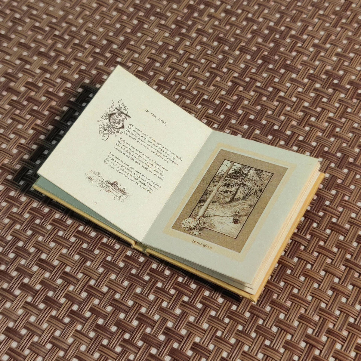 6 Scale Miniature Book Vintage Dollhouse Prop