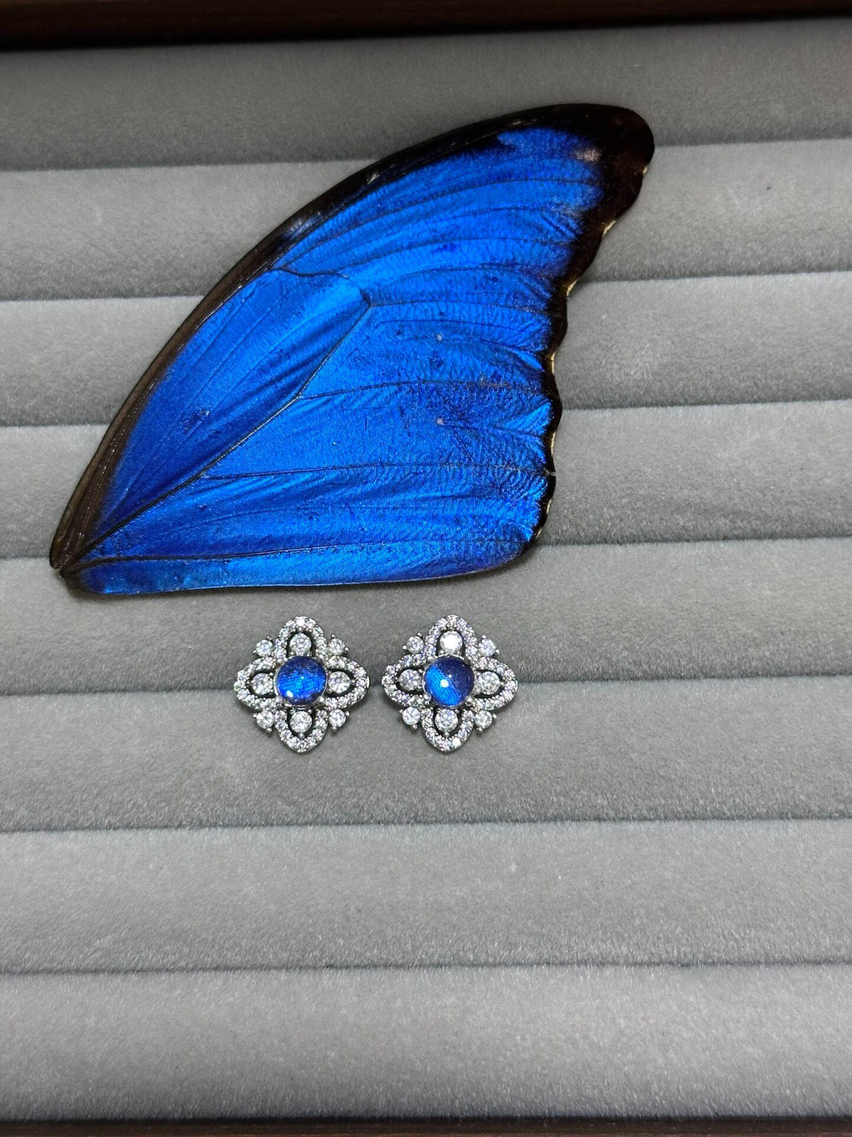 Blue Morpho Butterfly Wing Earrings