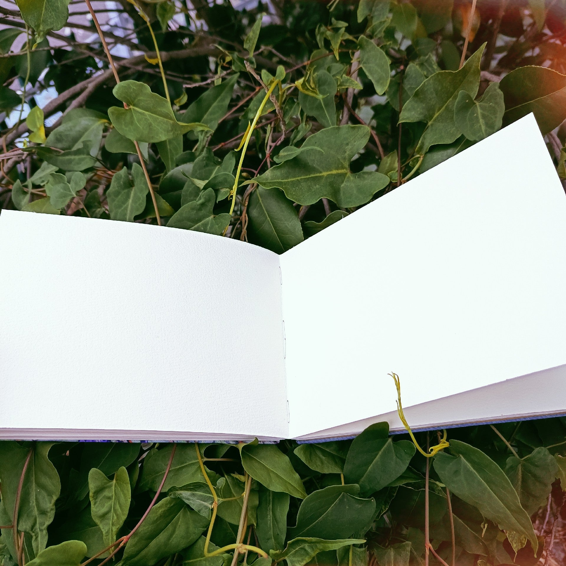 Iris Watercolor Sketchbook – 32k Thick Canvas, Coptic Stitch Binding, 300gsm Baohong Paper