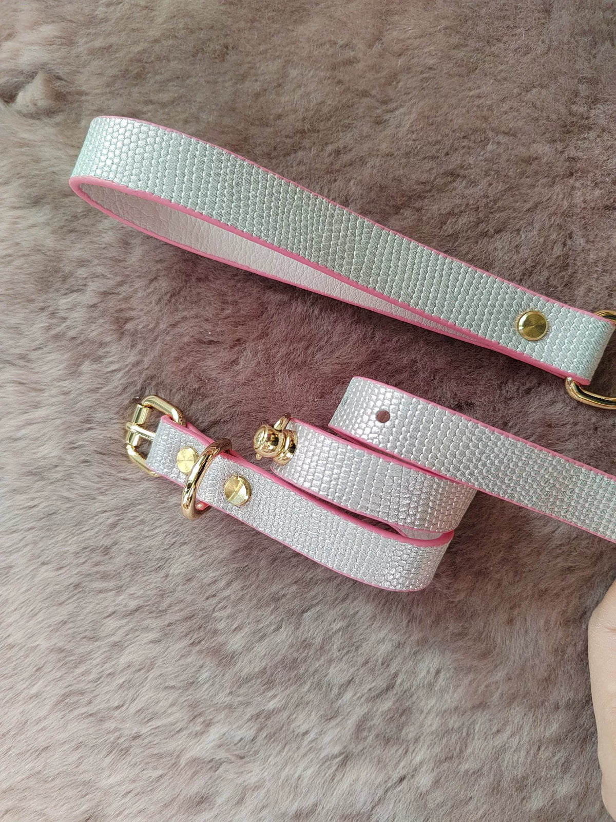Set collare e choker per animali argento sfumato