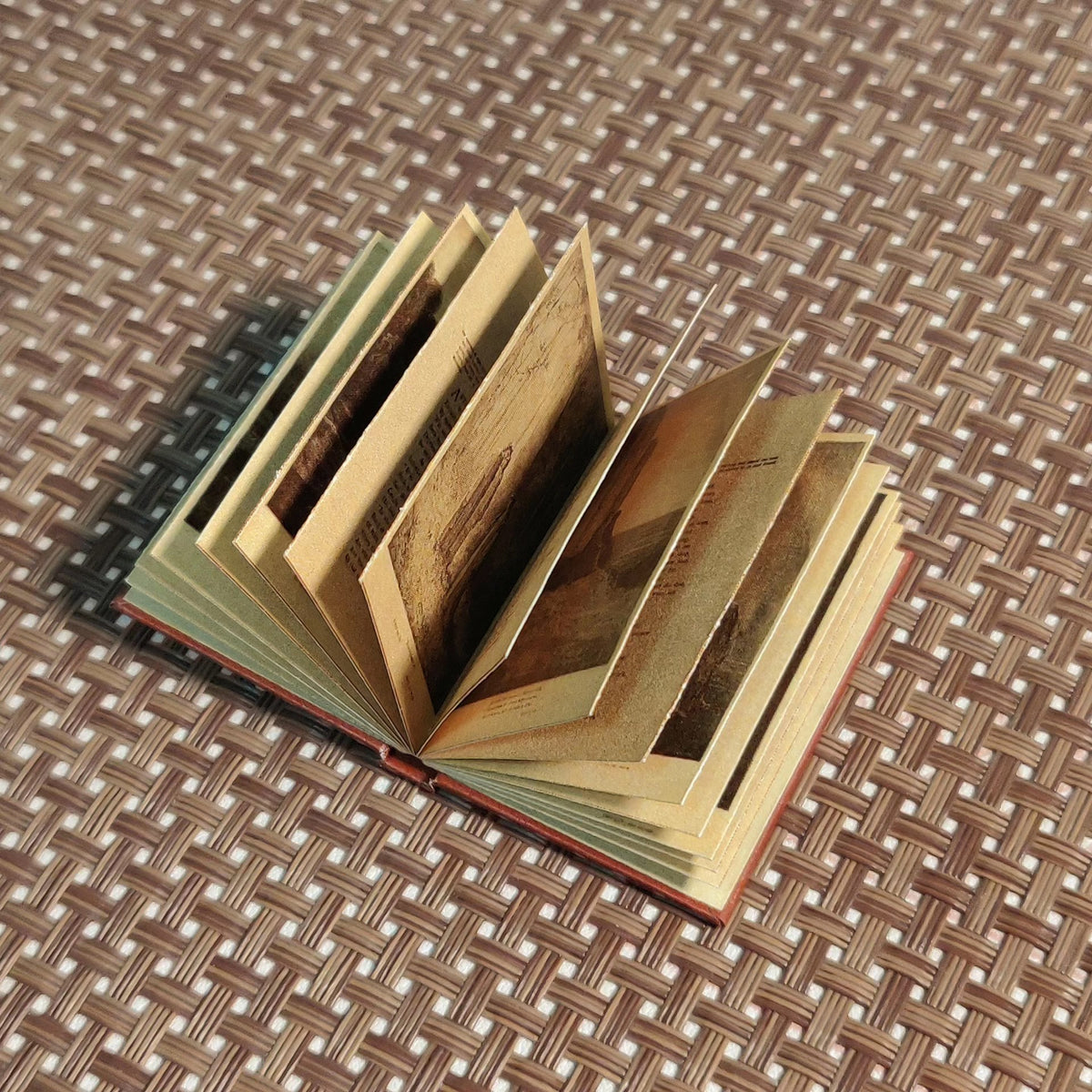 1061581077456 - Image 5