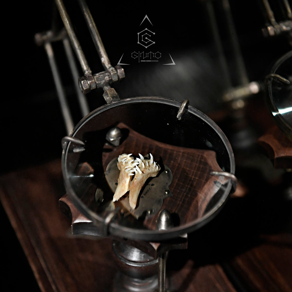 762077554093 - Image 6