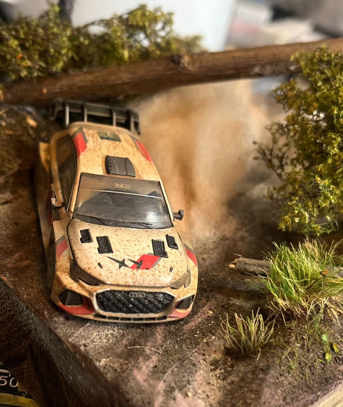 1:64 Scale Rally Forest Diorama Display