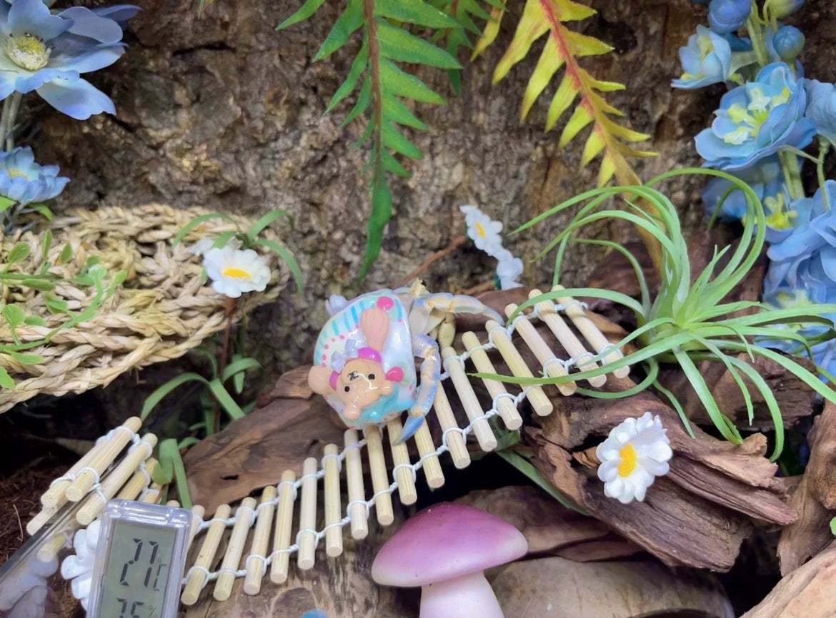 Vintage Teddy Bear Hermit Crab Replacement Shell