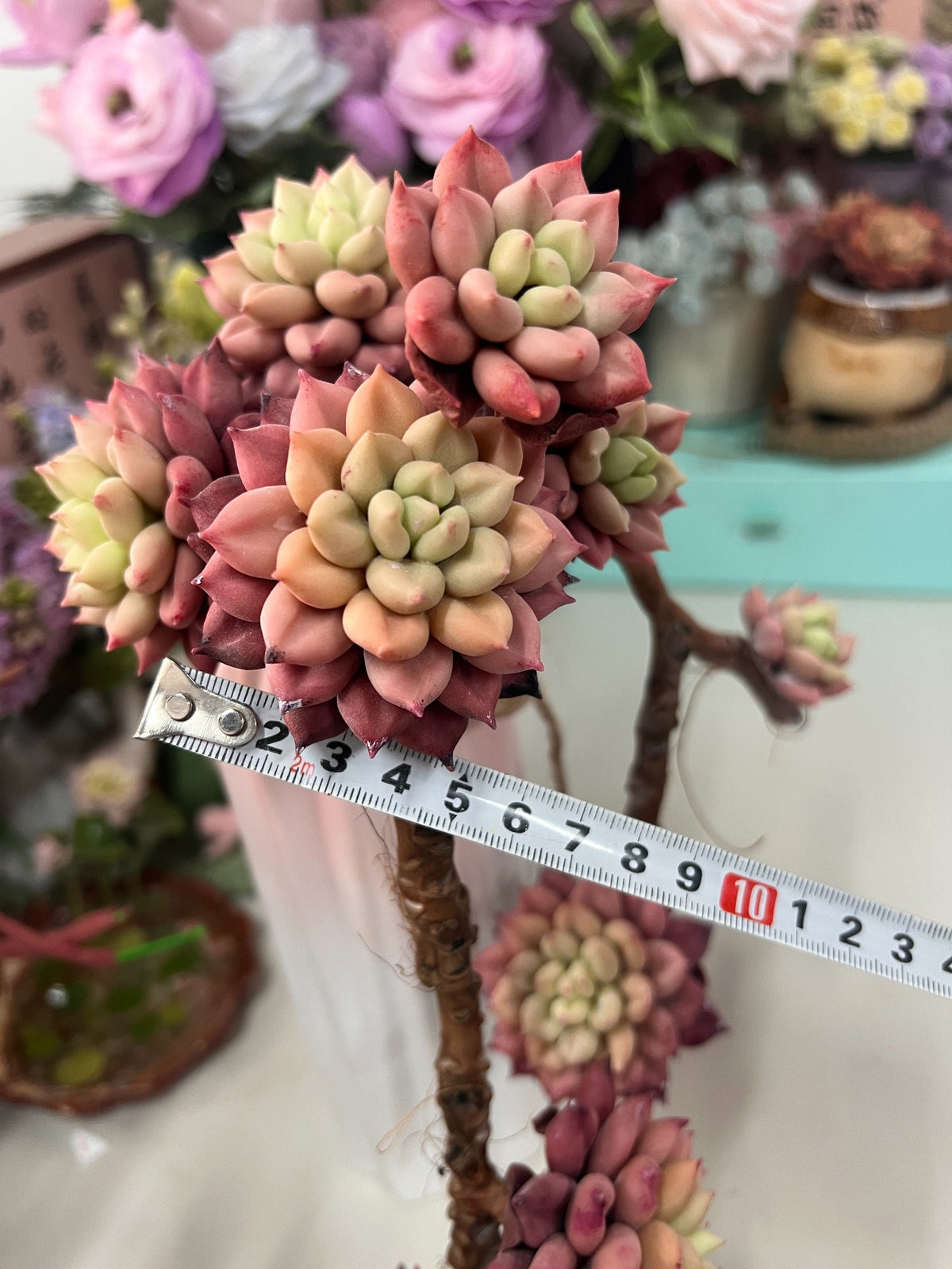 Resin Clay Succulent Handmade Desk Decoration