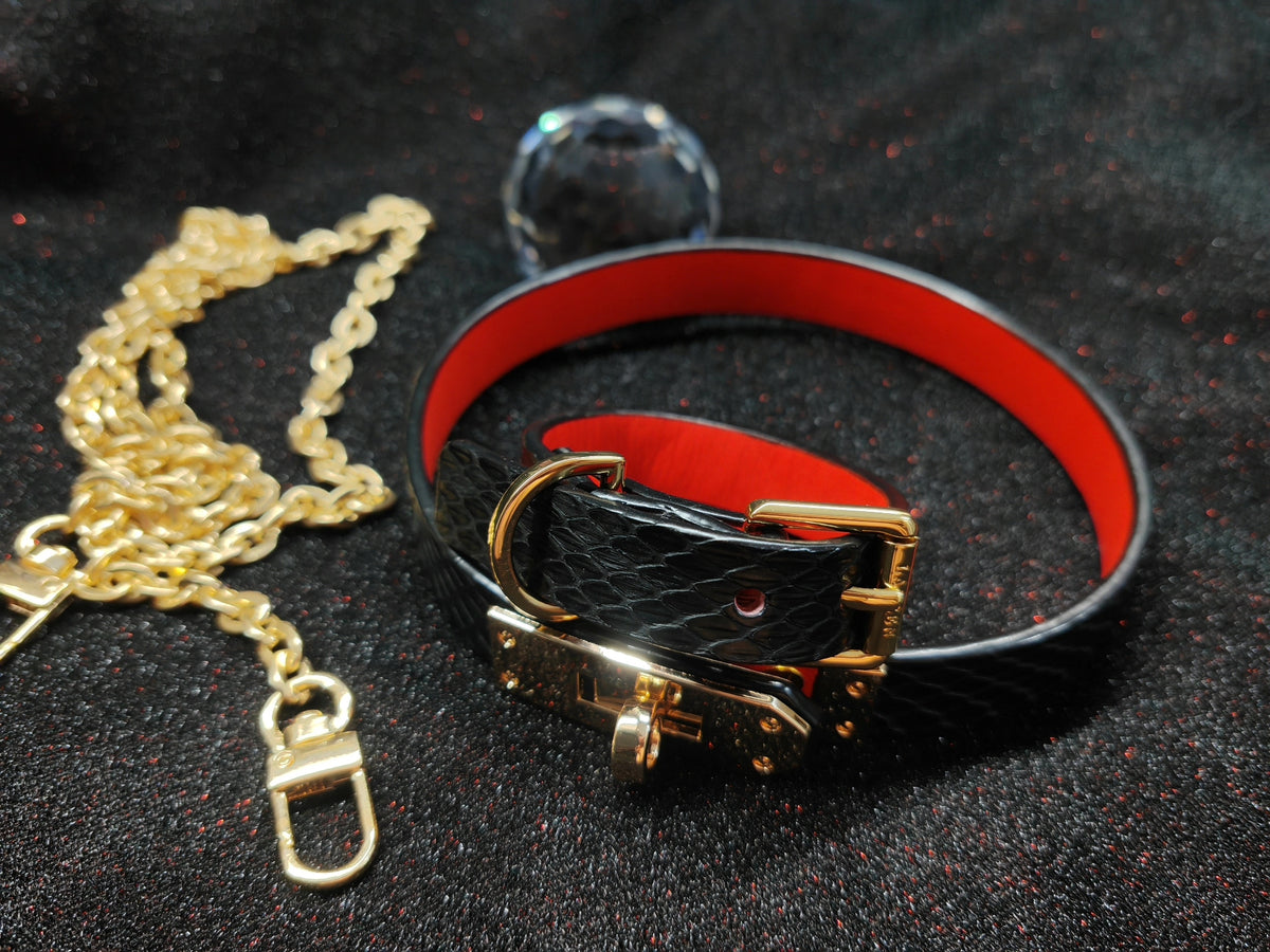Conjunto de Coleira e Pulseira para Animais em Pele Preta Textura de Serpente