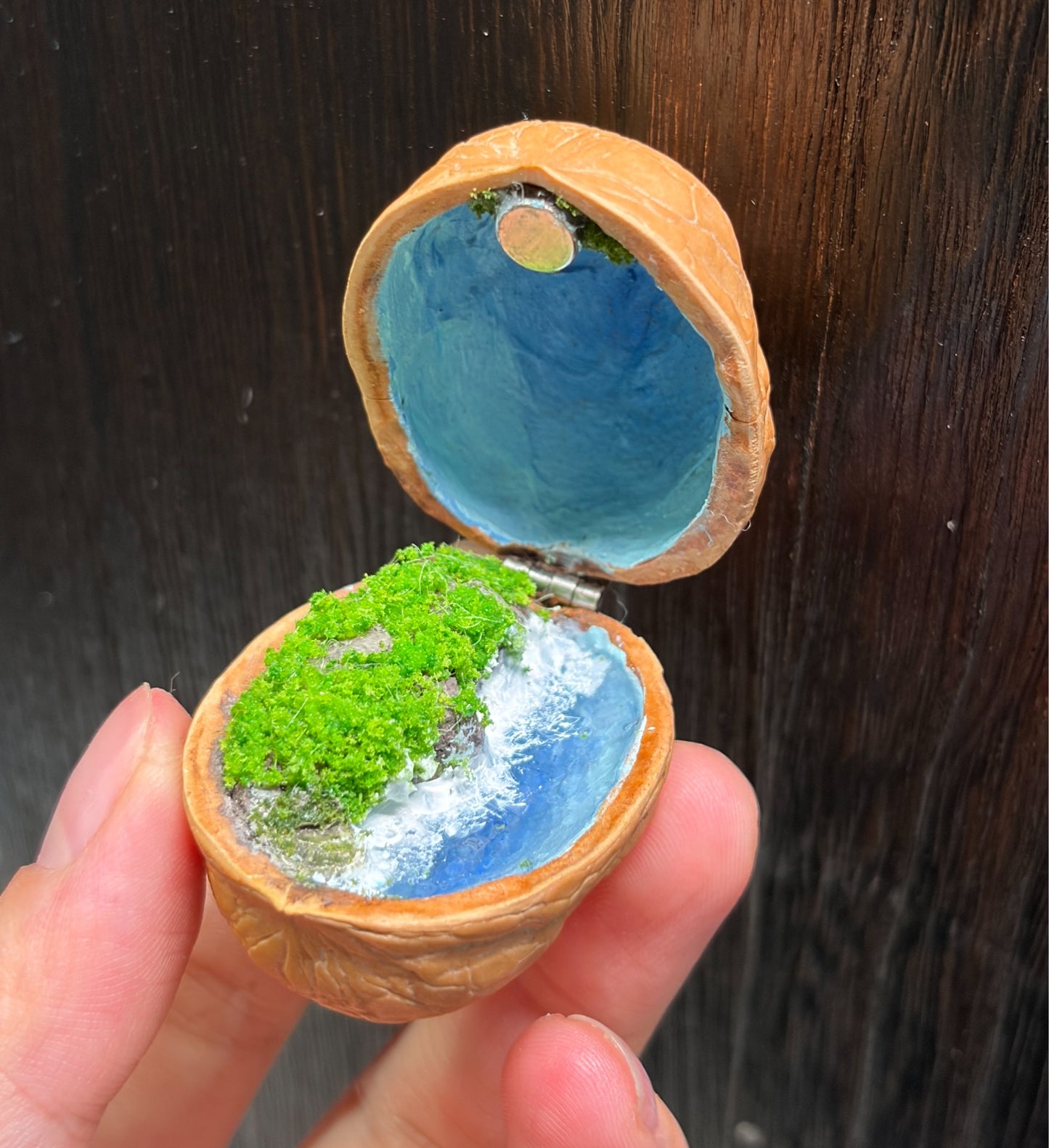 Walnut Shell Miniature Diorama with Coastal Scene