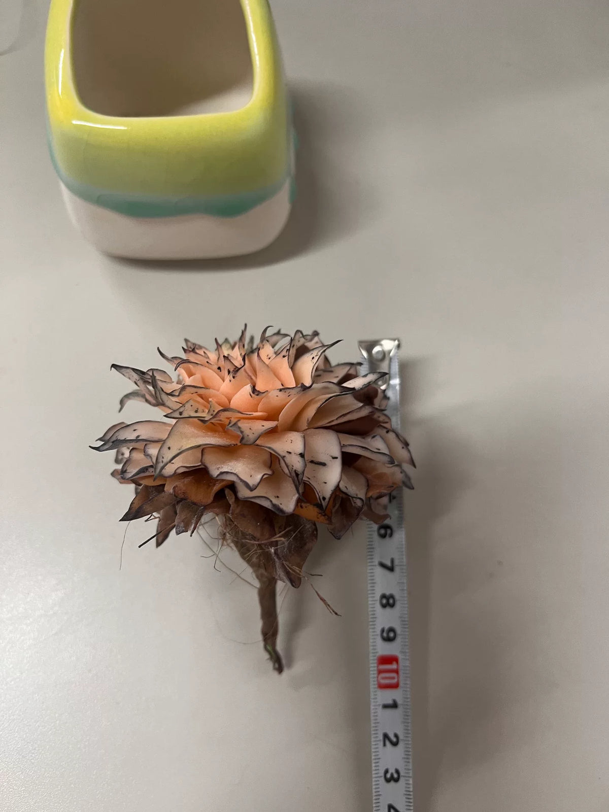 1074862701234 - Image 7