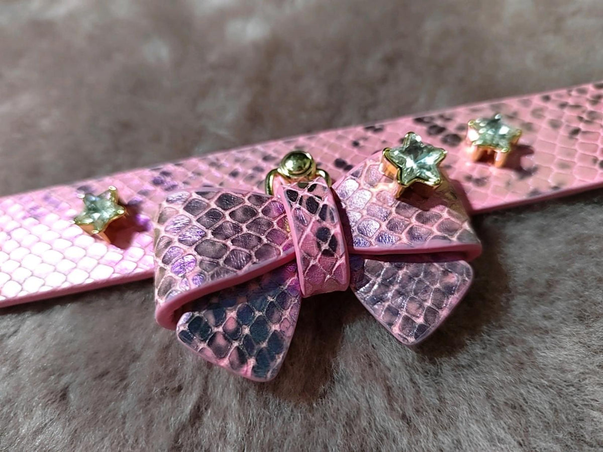 Iridescent Snakeskin Pet Collar Set
