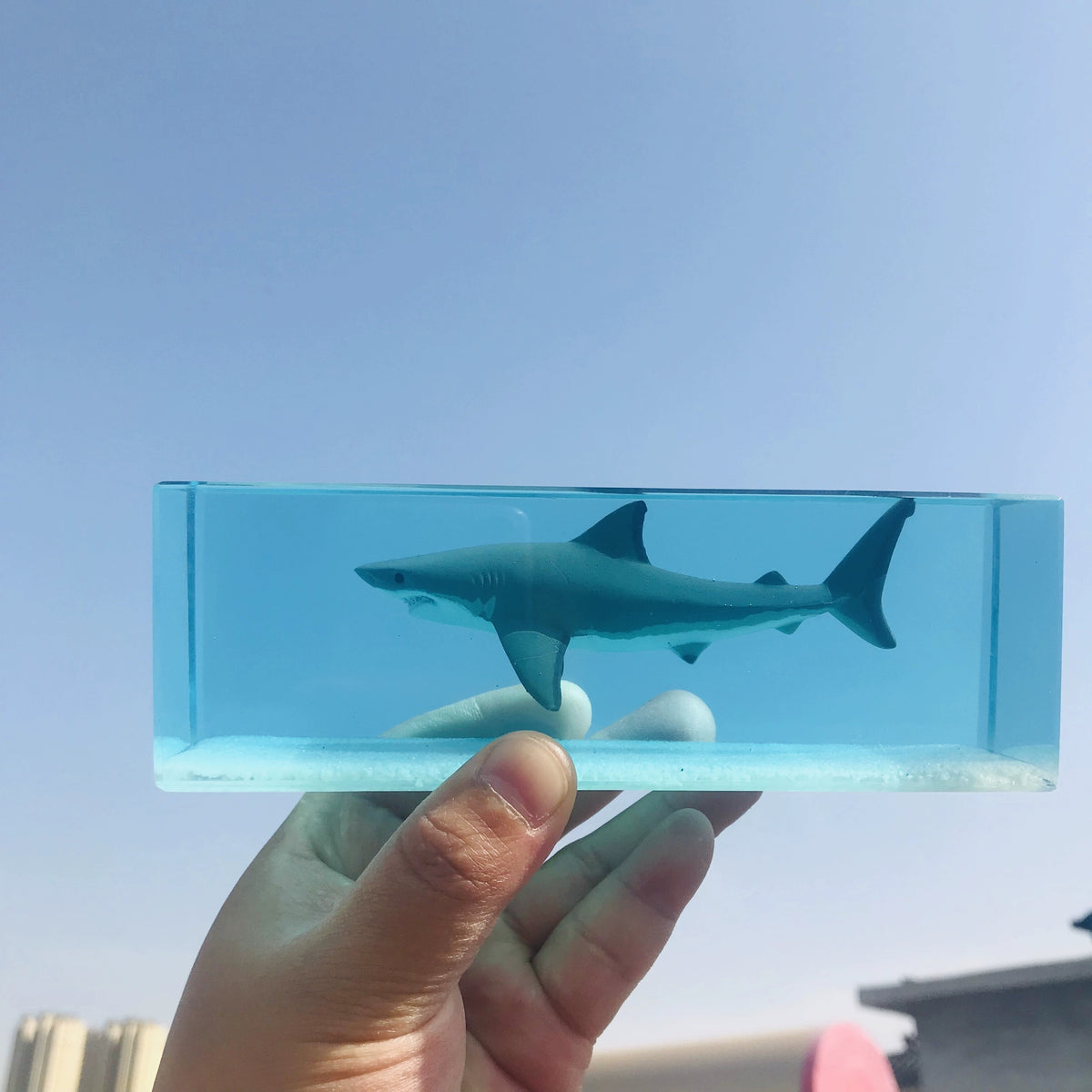 Shark Paperweight Blue Resin Ornament