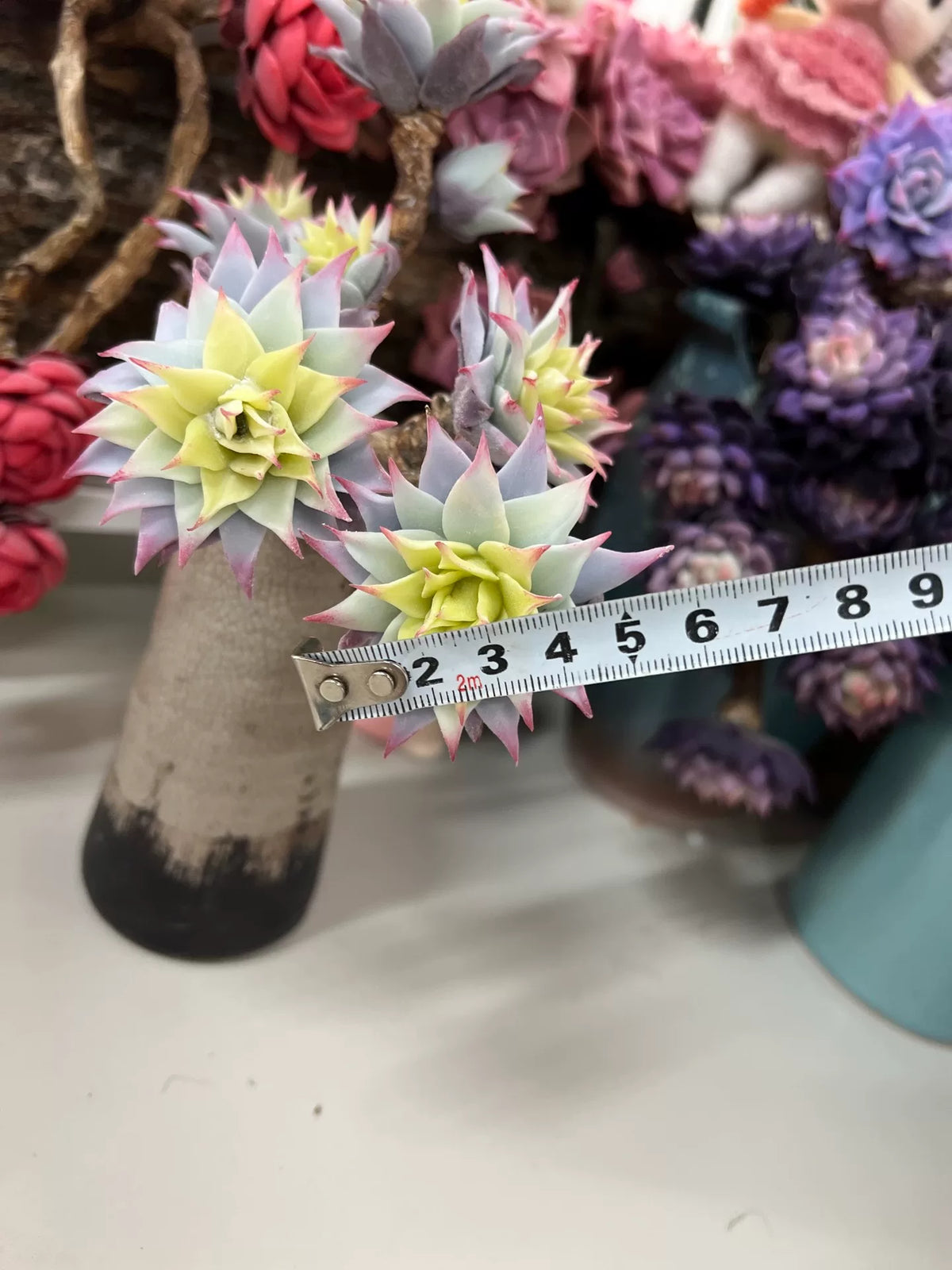 981714581339 - Image 6