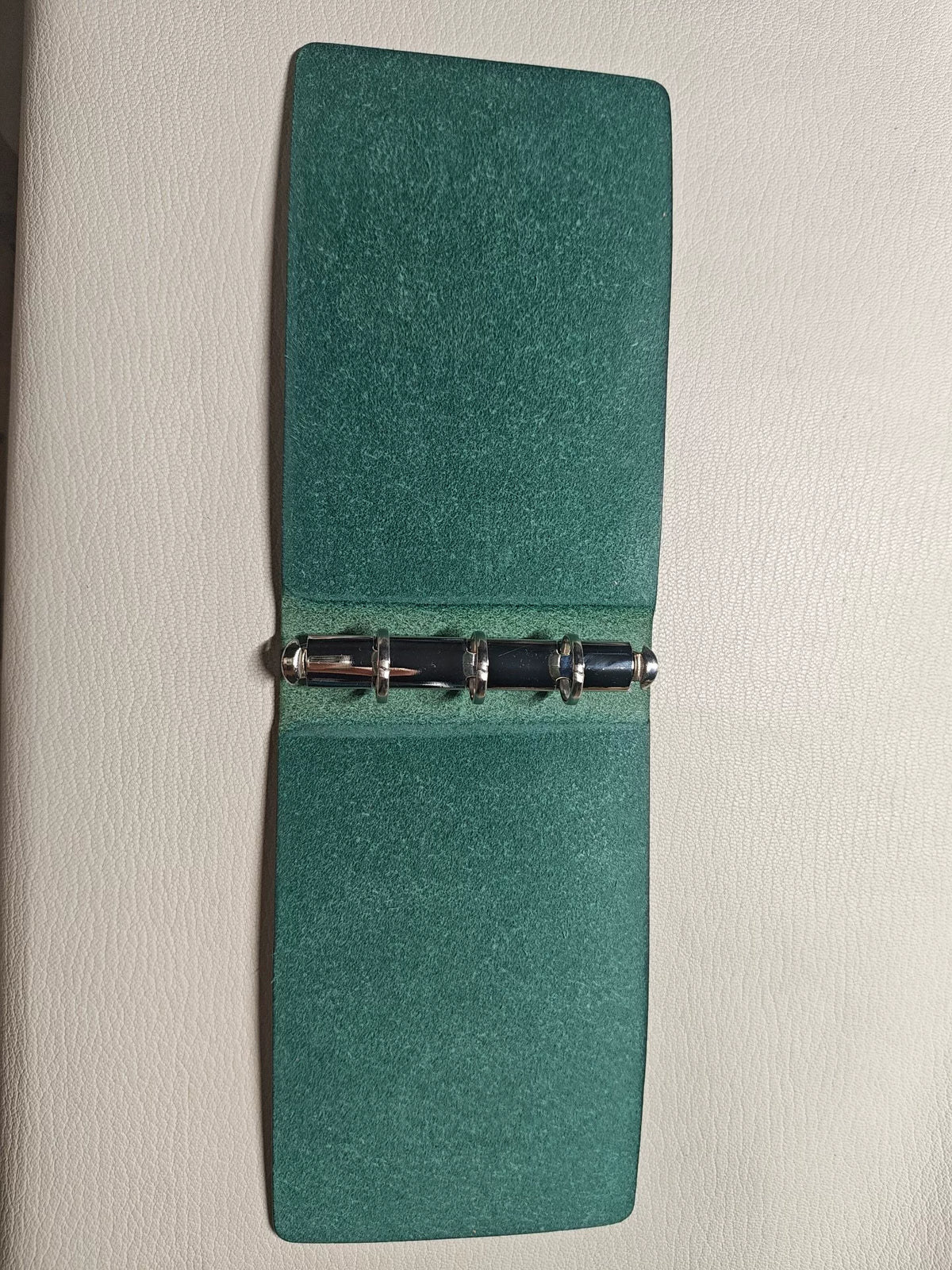 Copertina per quaderno a fogli mobili in pelle verde menta
