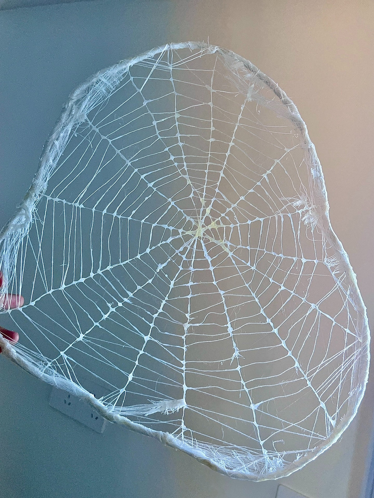 1041260436325 - Image 2