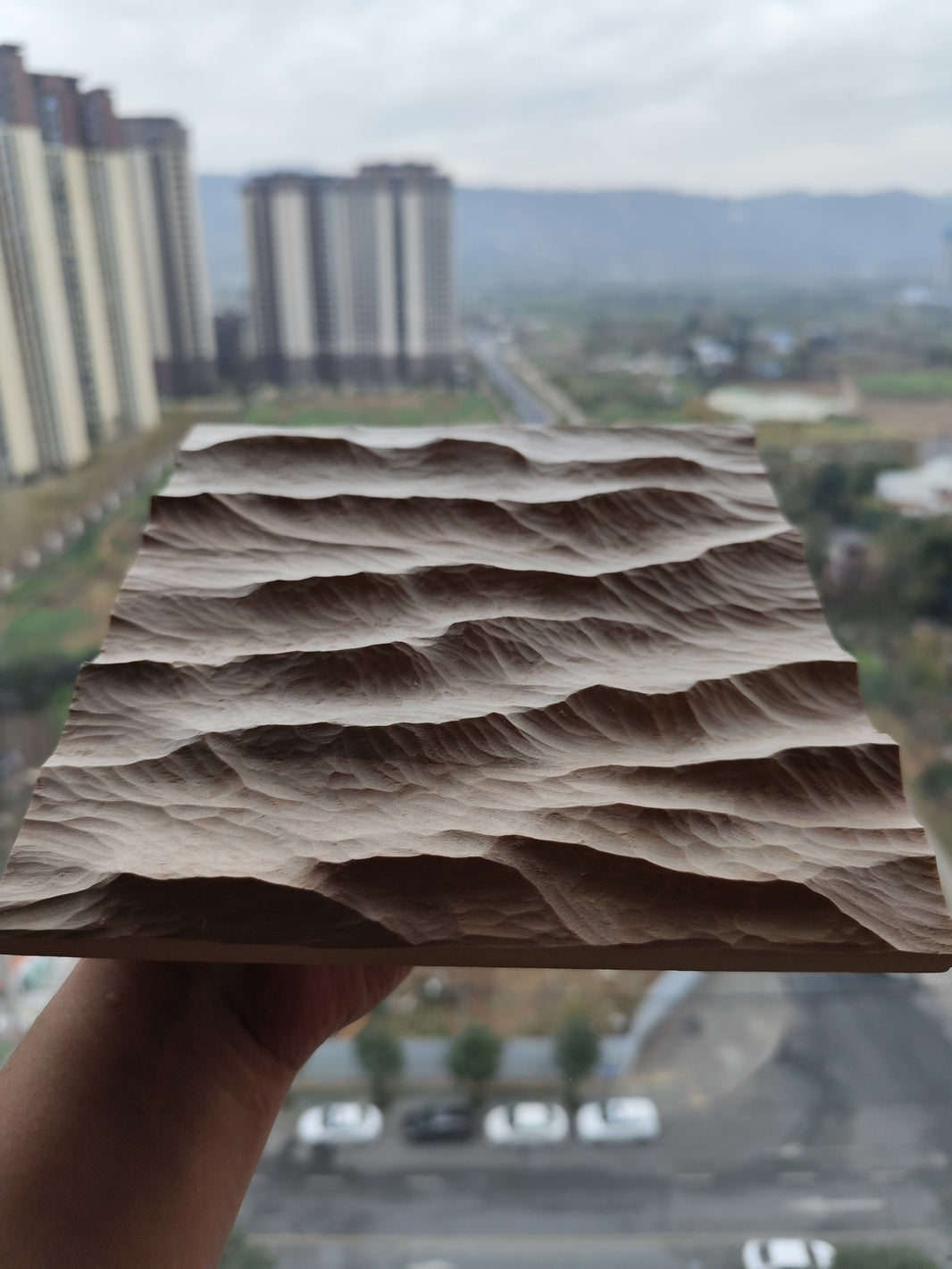 1007411172129 - Image 1