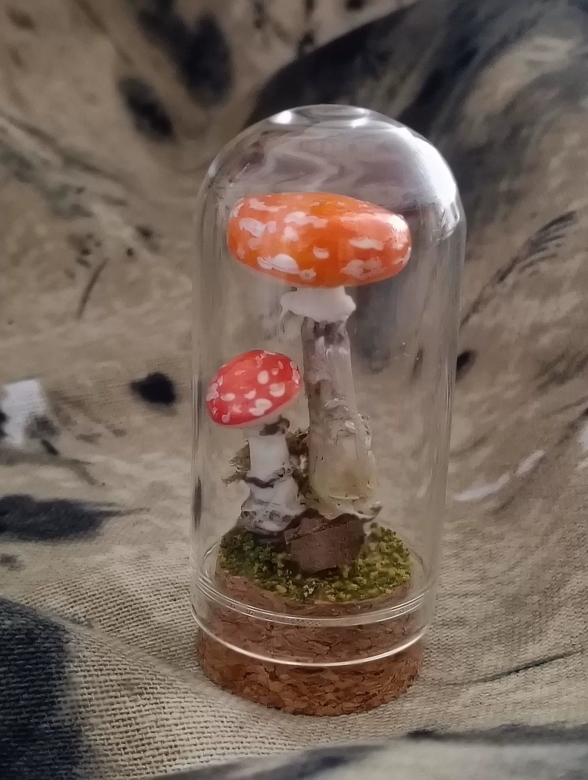 Handgefertigtes Pilz-Terrarium in Glasglocke