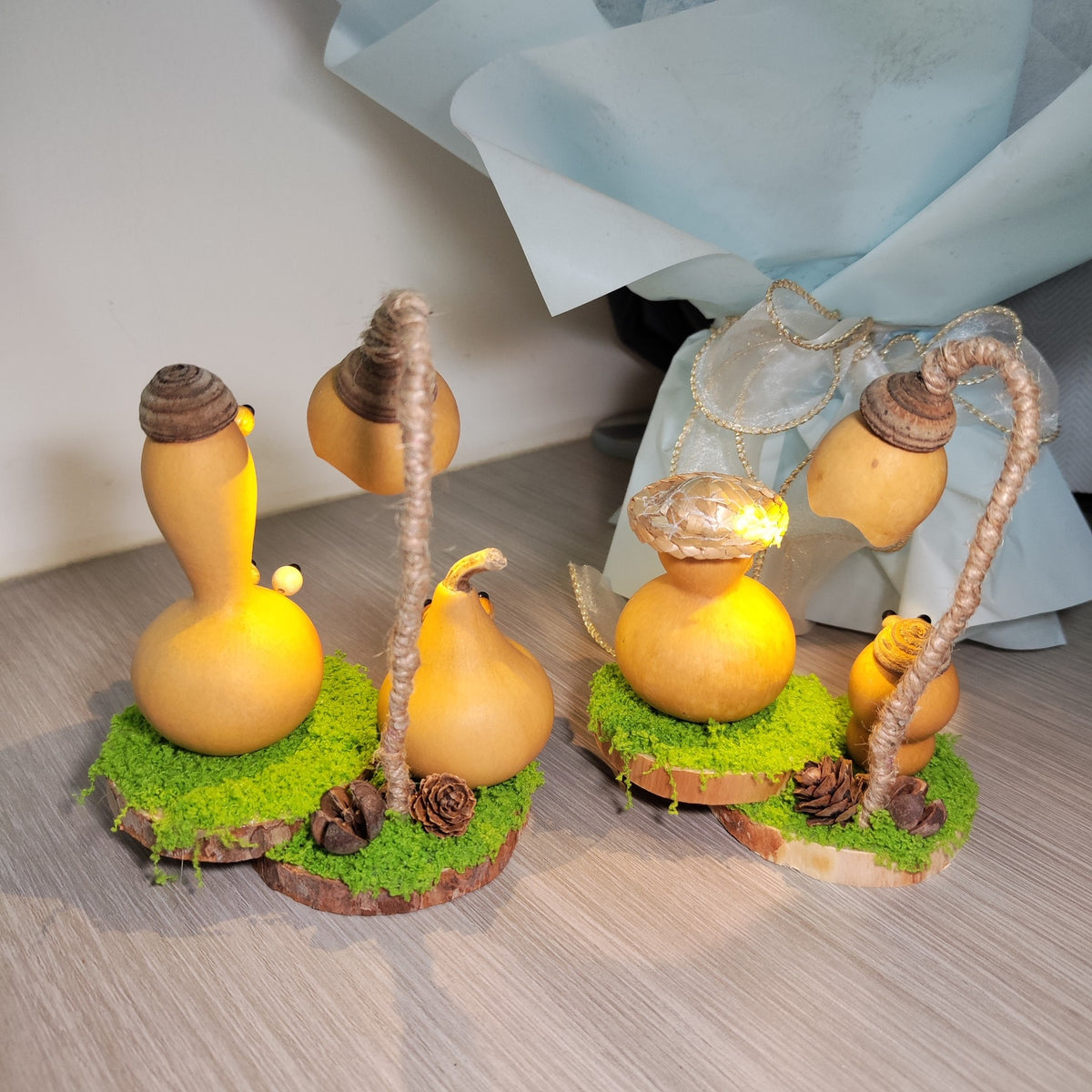 Natural Gourd Handmade Night Light Decor