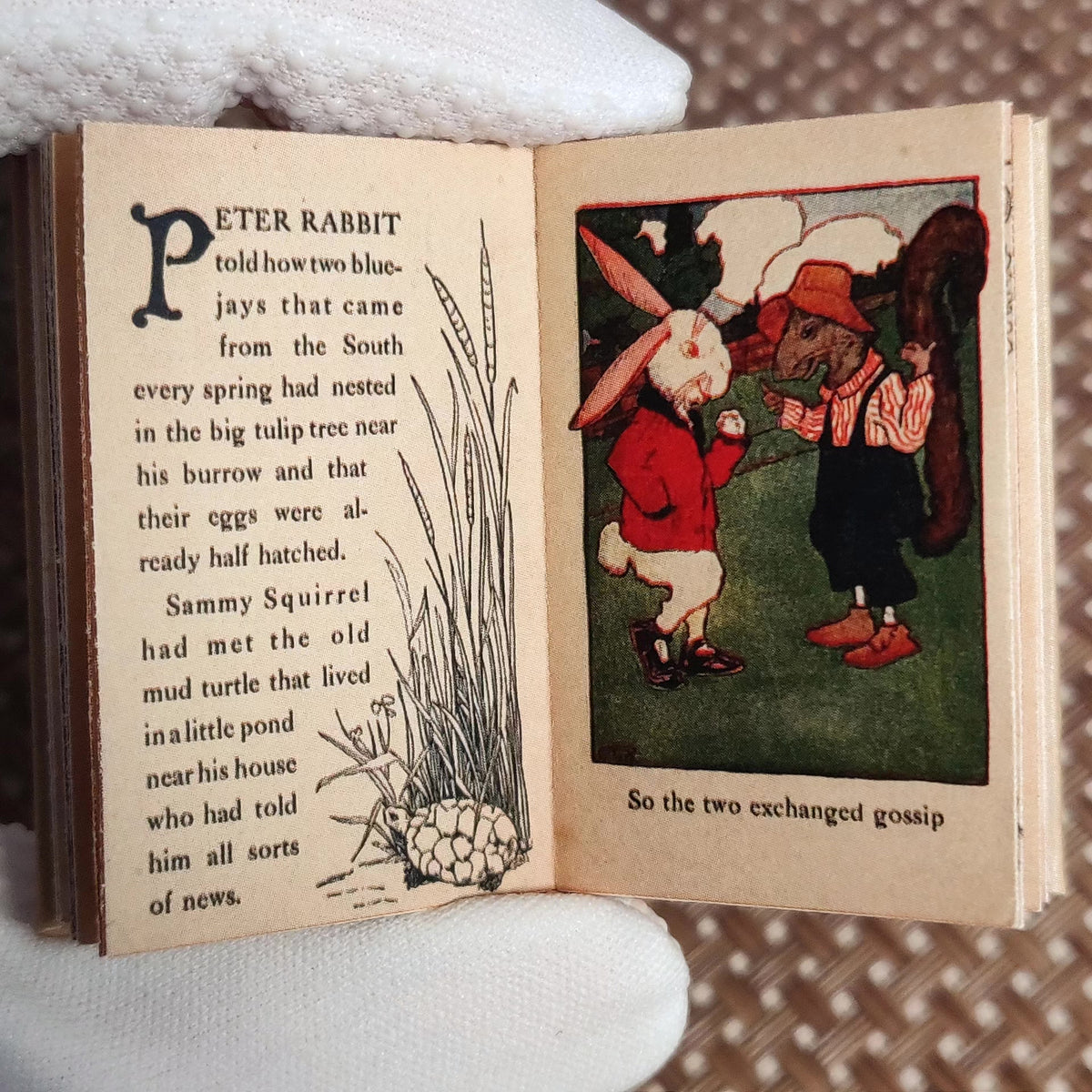 Miniature Book Peter Rabbit Sammy Squirrel 1 6 Scale