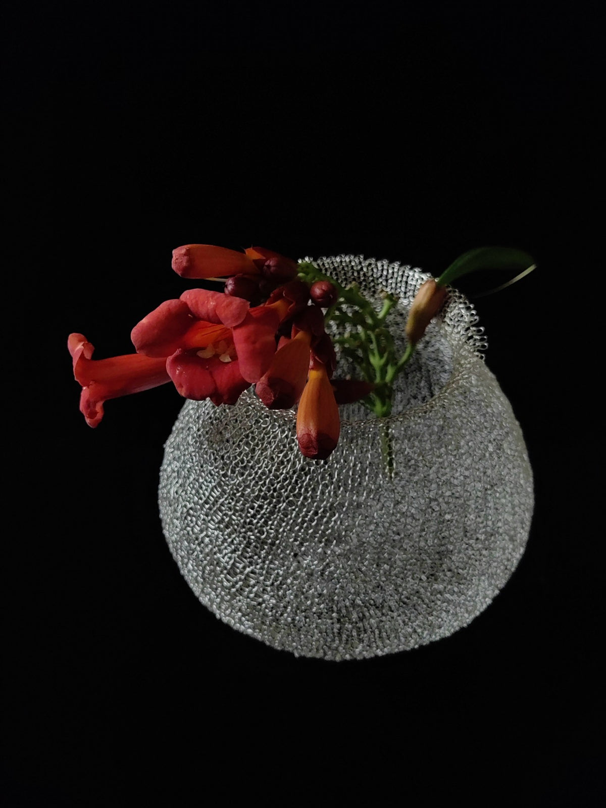 1068826631484 - Image 1