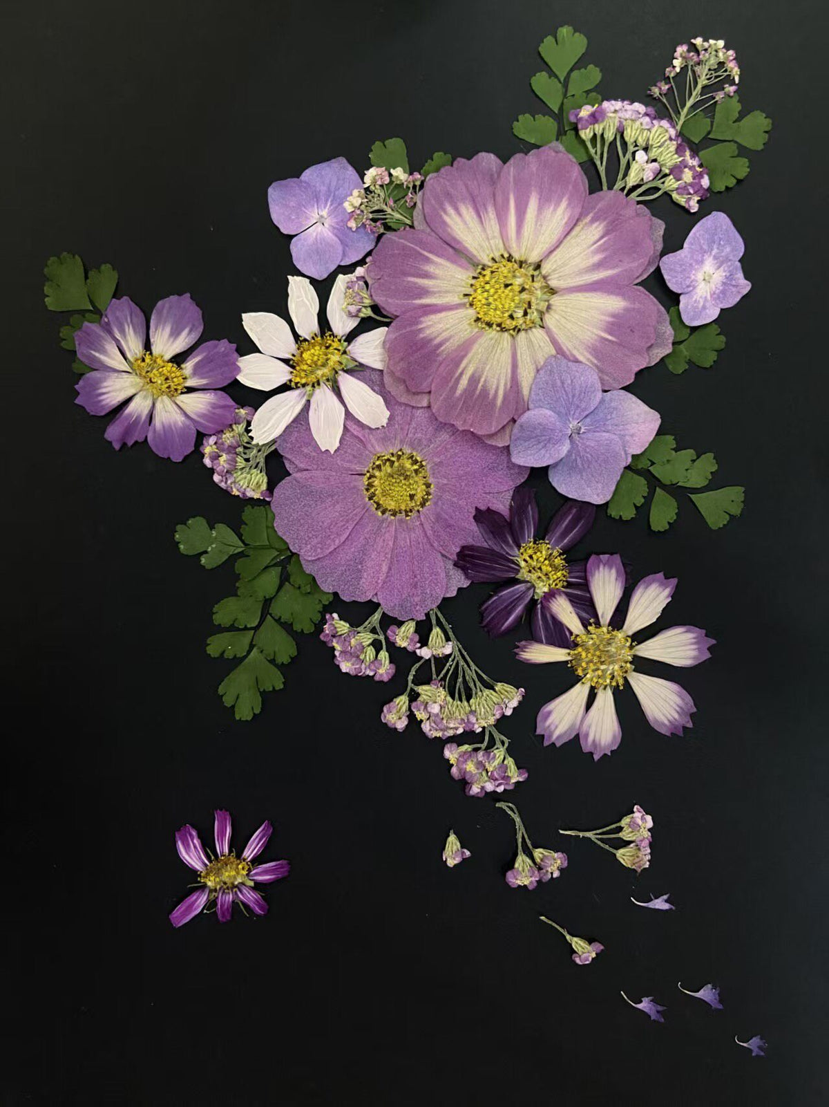 893766222208 - Image 2