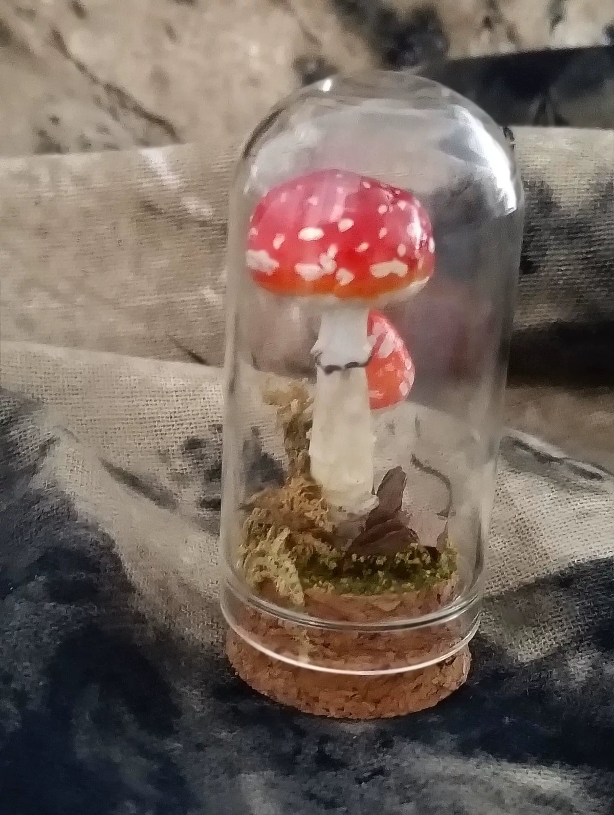 Handcrafted Red Mushroom Glass Cloche Decoration
