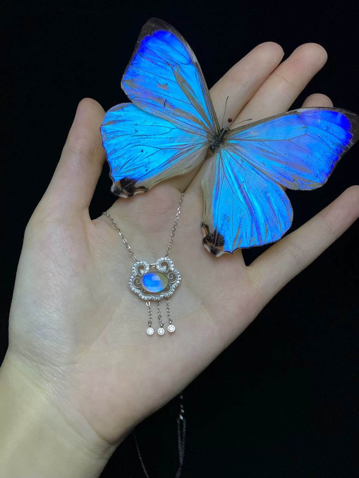 S925 Silber Schmetterlingshalskette mit blauem Kristall-Anhänger