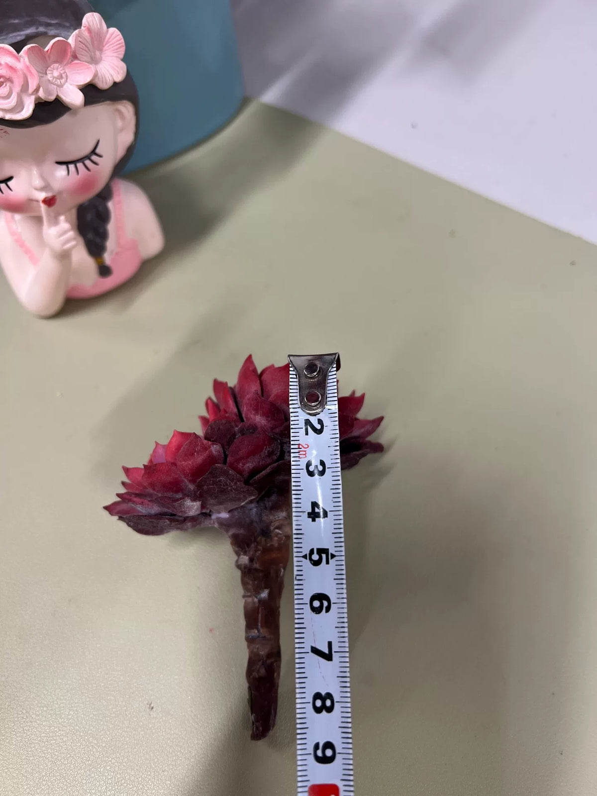 972530084896 - Image 7