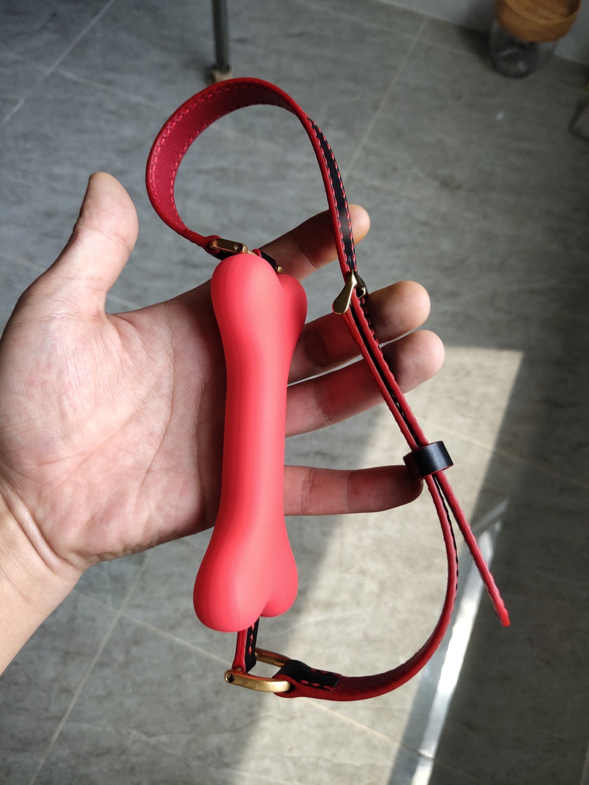 Red Leather Pet Collar with Bone Silicone Gag