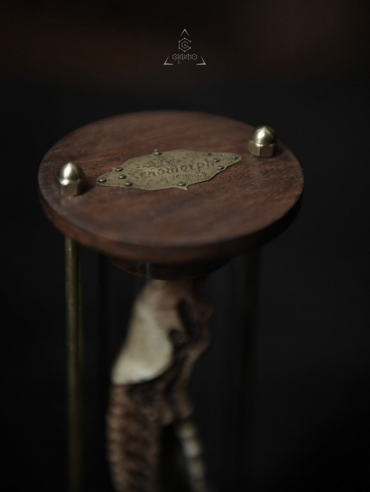 761814781656 - Image 2