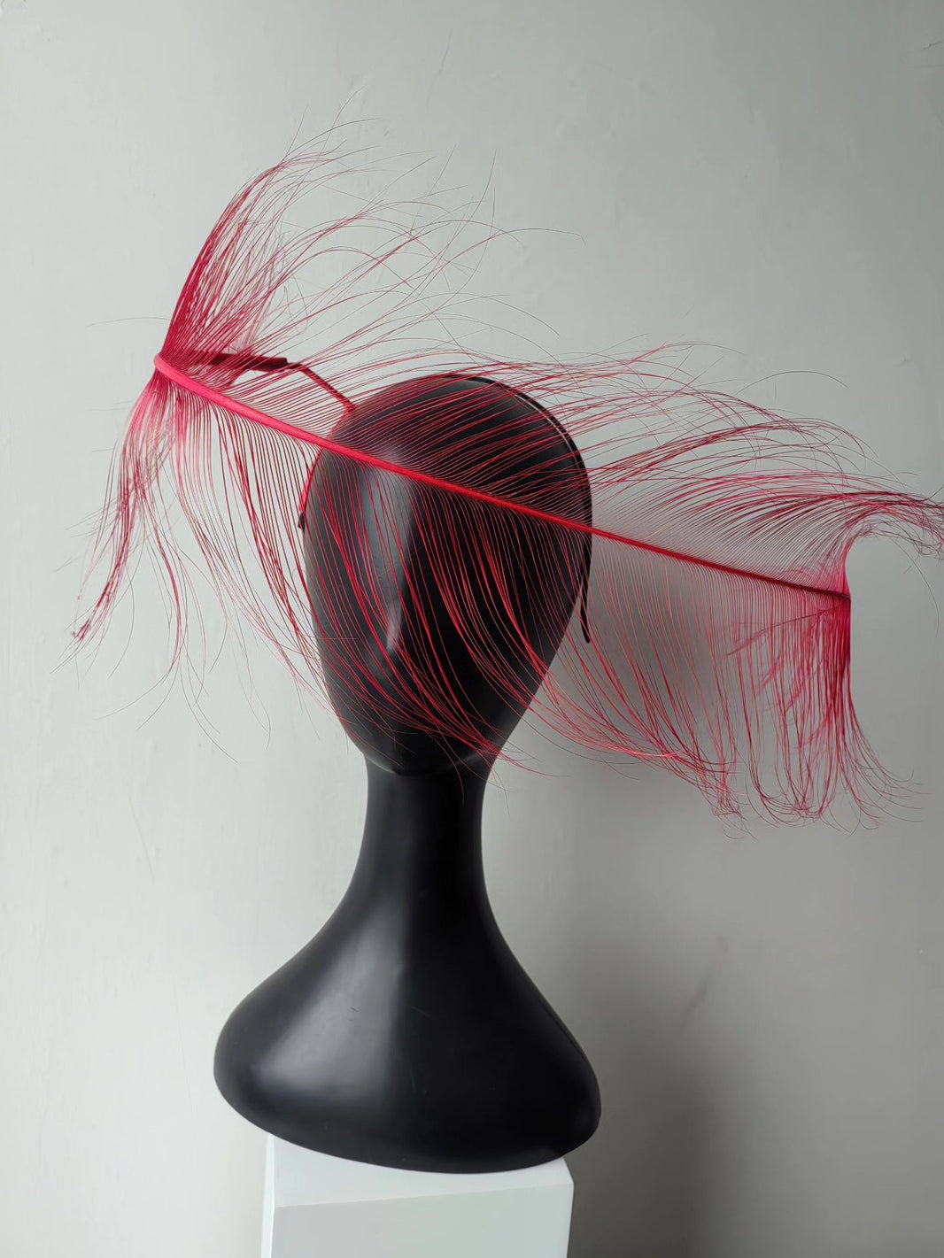 1000429684102 - Image 1