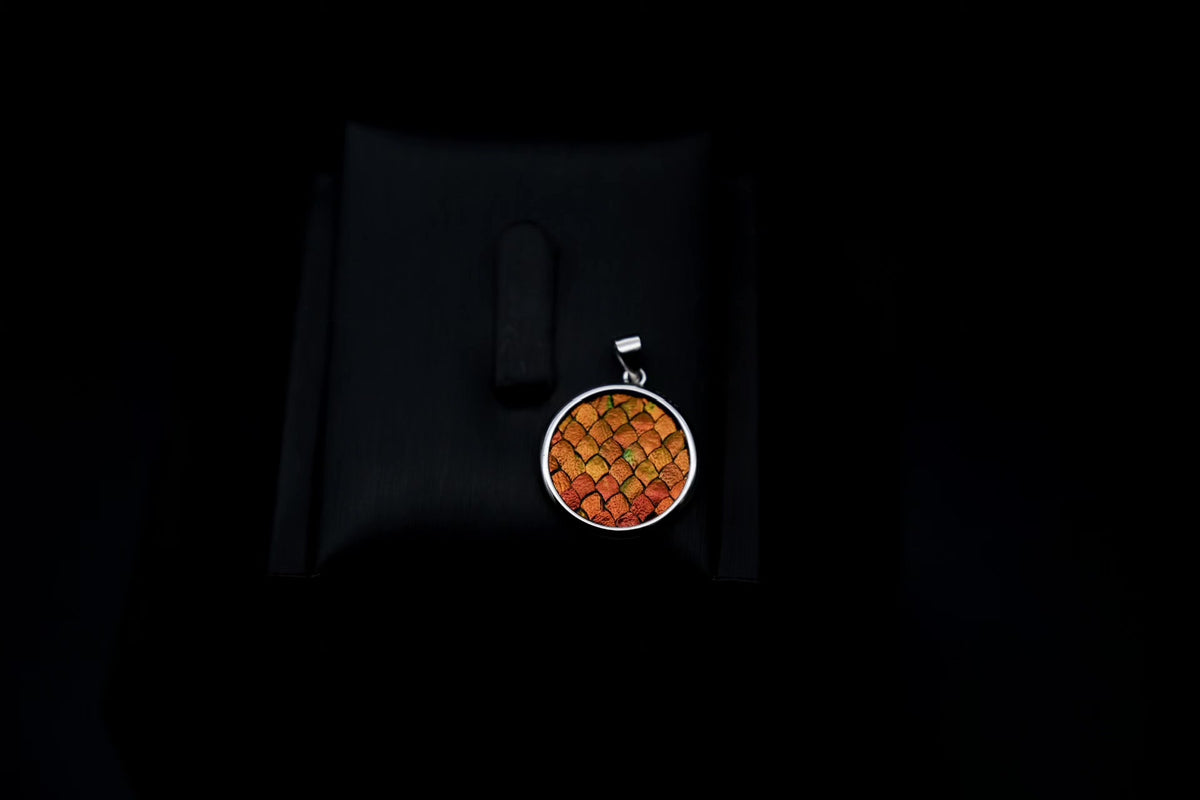 919786312282 - Image 3