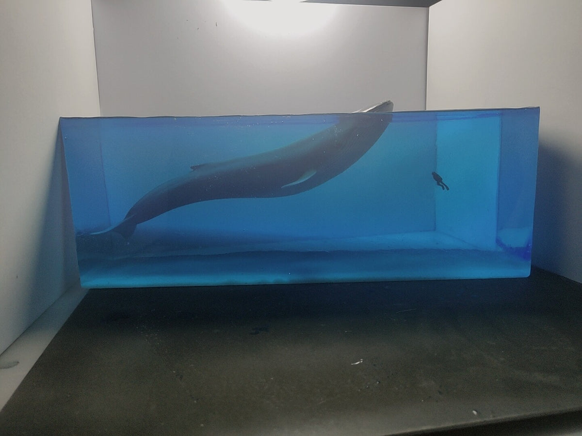 654246326478 - Image 2