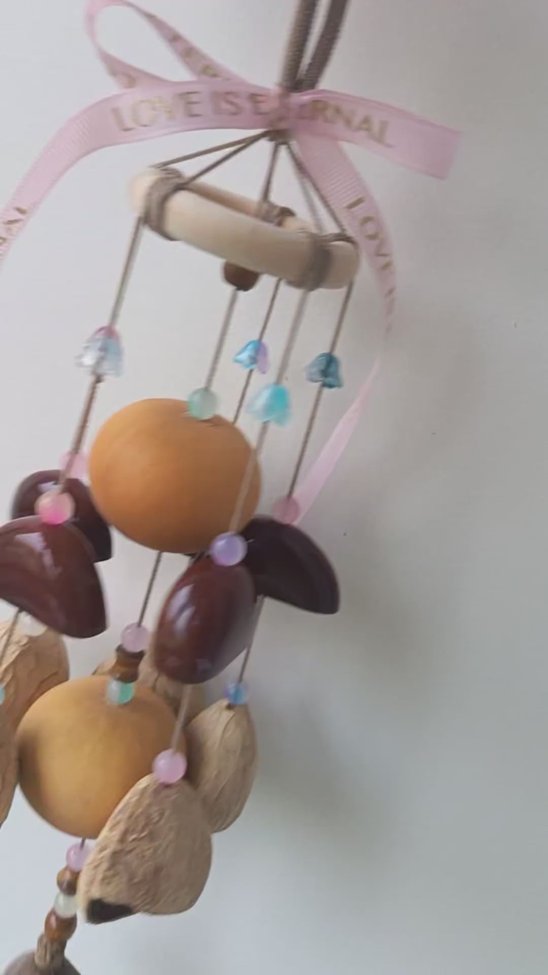 1065611233843 - Video 1
